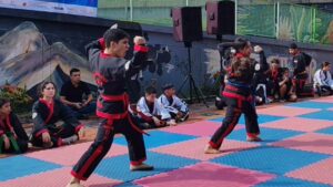 IMG_2025_06_29_235302715